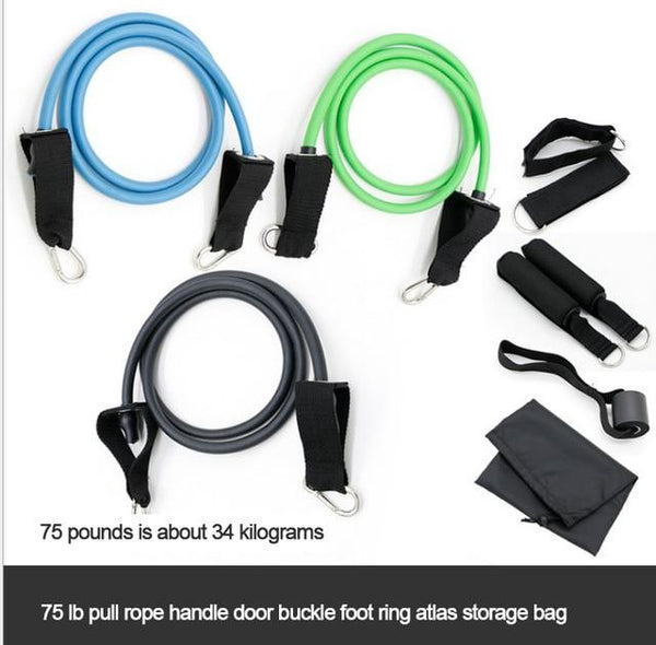 Equipment elastic belt sports pull rope fitness belt trainer TRX buckle pull rope fitness exercise equipment TPE safety