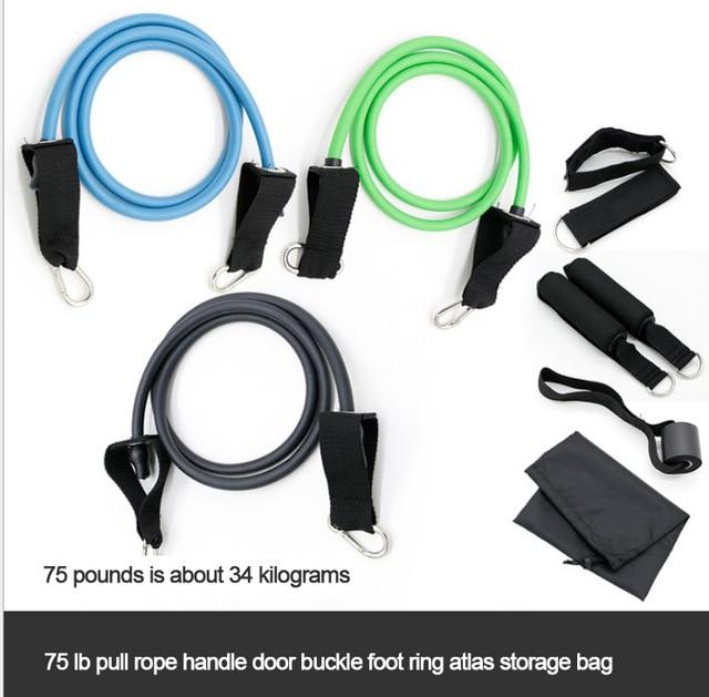 Equipment elastic belt sports pull rope fitness belt trainer TRX buckle pull rope fitness exercise equipment TPE safety